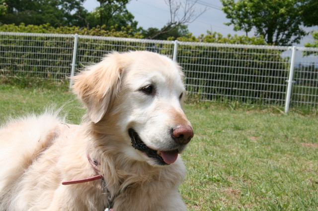 ファイル 316-5.jpg