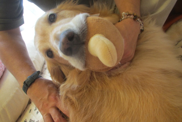 ファイル 3160-5.jpg