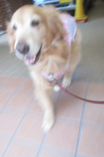 ファイル 3161-2.jpg