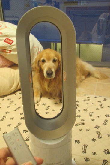 ファイル 3162-2.jpg