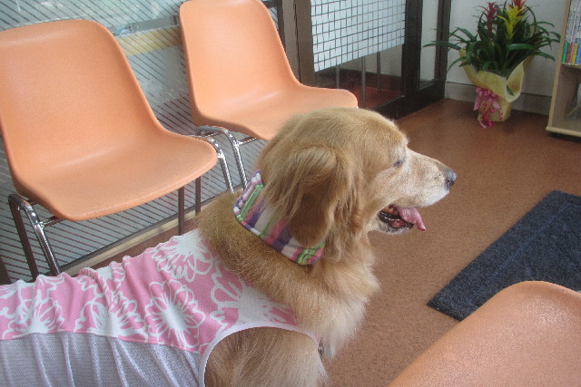 ファイル 3162-3.jpg