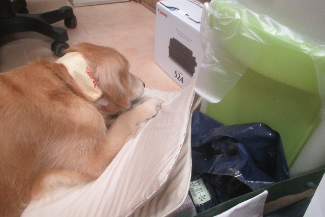 ファイル 3162-4.jpg