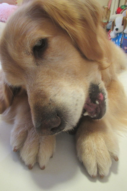 ファイル 3162-5.jpg