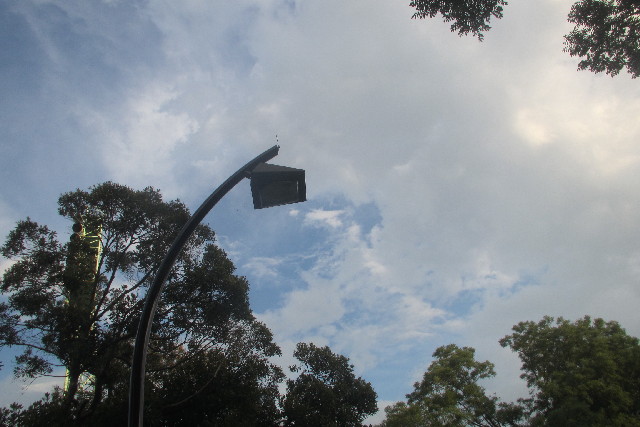 ファイル 3163-1.jpg