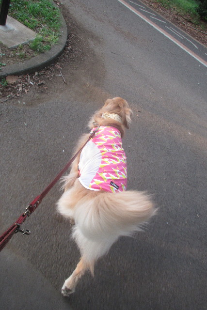 ファイル 3163-3.jpg