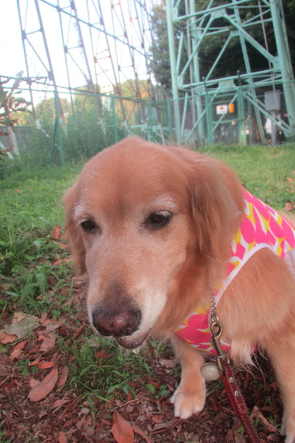 ファイル 3163-4.jpg