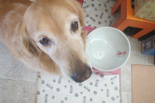 ファイル 3164-1.jpg