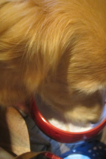 ファイル 3164-5.jpg