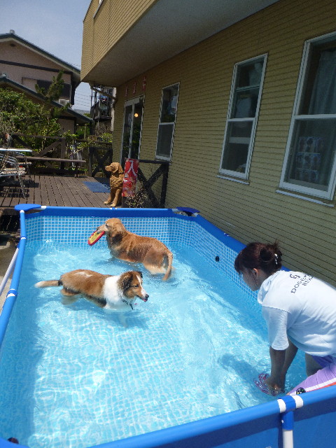 ファイル 3165-2.jpg