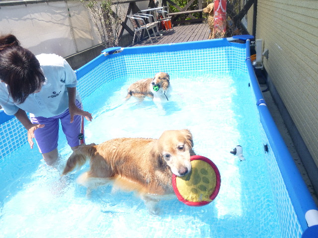 ファイル 3165-3.jpg