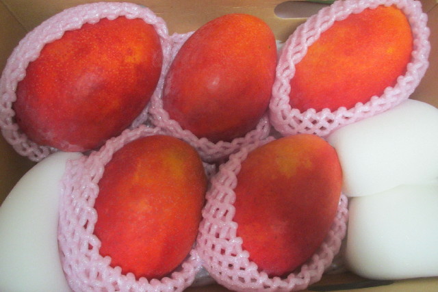 ファイル 3168-3.jpg