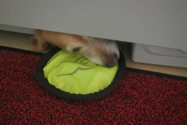 ファイル 3169-2.jpg