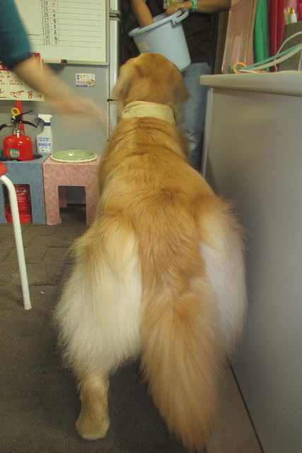 ファイル 3171-3.jpg