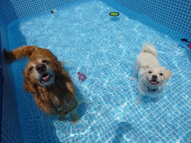 ファイル 3172-4.jpg