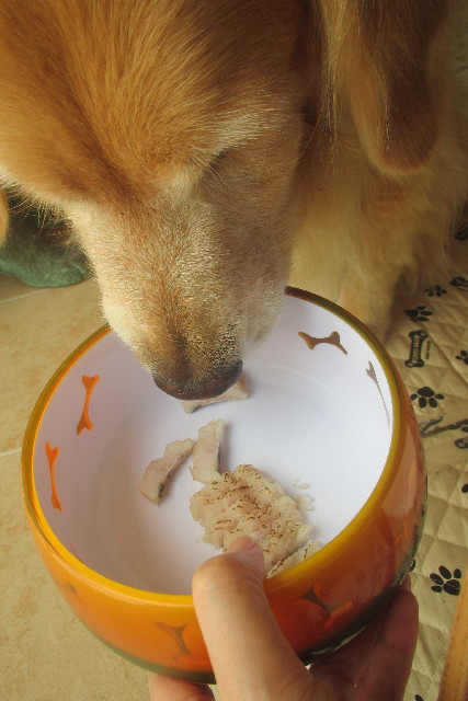 ファイル 3173-3.jpg