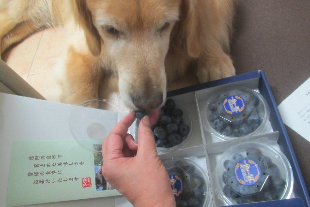 ファイル 3174-2.jpg