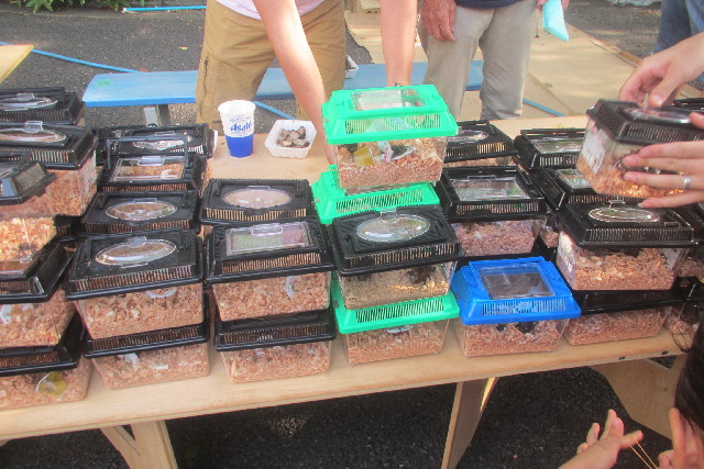 ファイル 3175-5.jpg