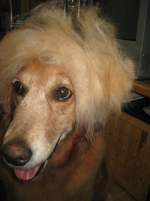 ファイル 318-1.jpg