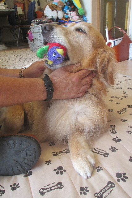 ファイル 3183-5.jpg