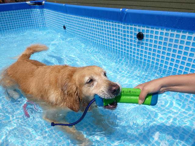 ファイル 3188-2.jpg