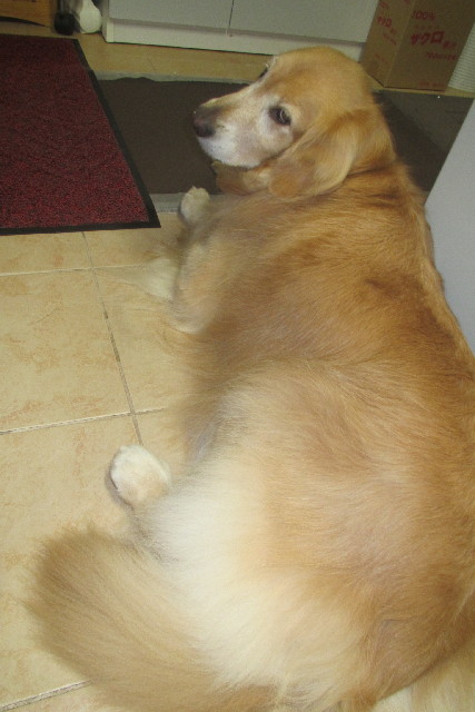 ファイル 3188-4.jpg