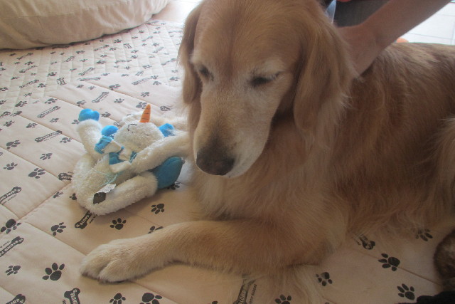 ファイル 3188-5.jpg