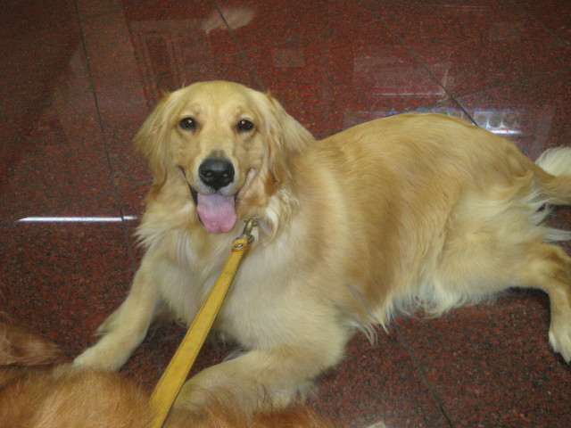 ファイル 319-1.jpg