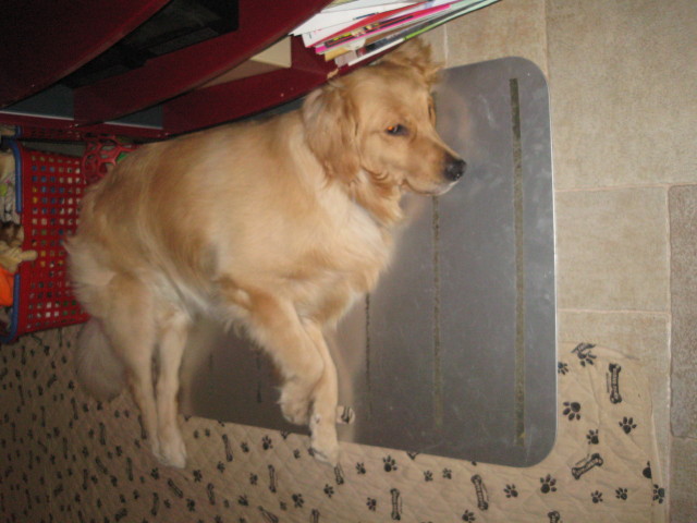 ファイル 319-4.jpg