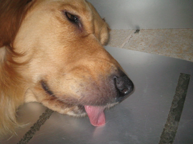 ファイル 319-5.jpg