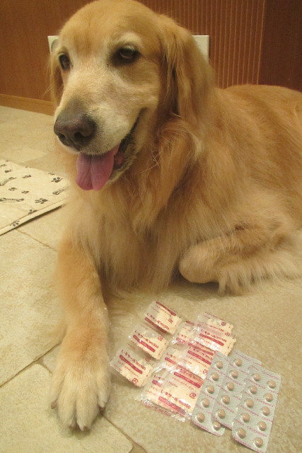 ファイル 3190-1.jpg