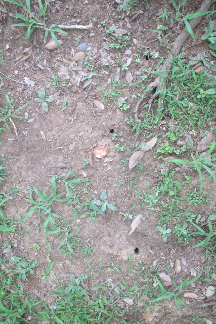 ファイル 3190-3.jpg