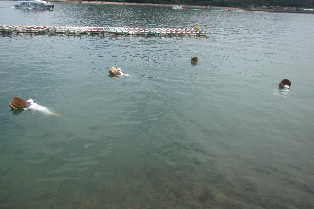 ファイル 3197-3.jpg