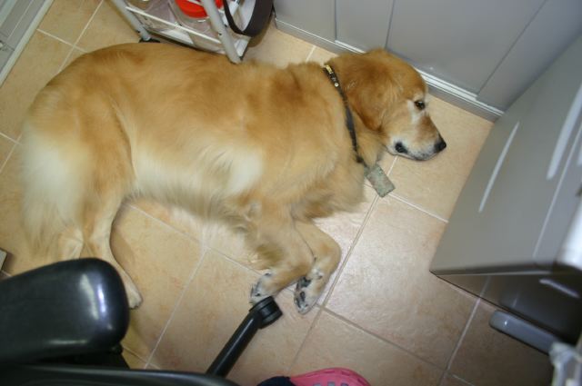 ファイル 32-1.jpg