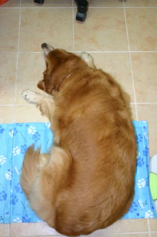 ファイル 32-2.jpg