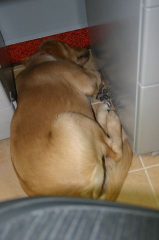 ファイル 32-4.jpg