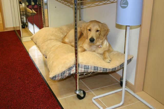 ファイル 32-5.jpg