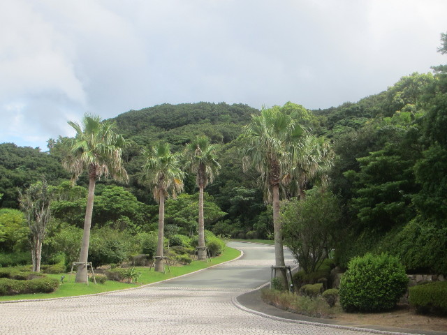 ファイル 3201-1.jpg