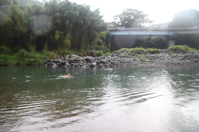 ファイル 3203-1.jpg