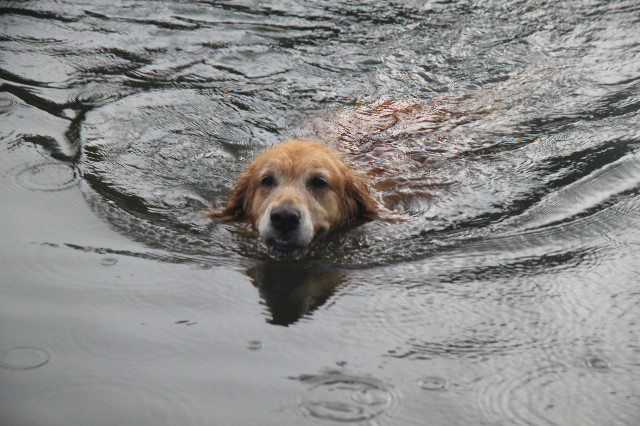 ファイル 3203-2.jpg