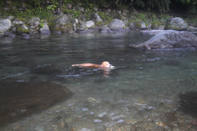 ファイル 3203-3.jpg