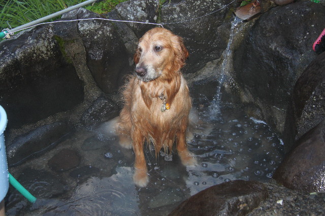 ファイル 3203-4.jpg