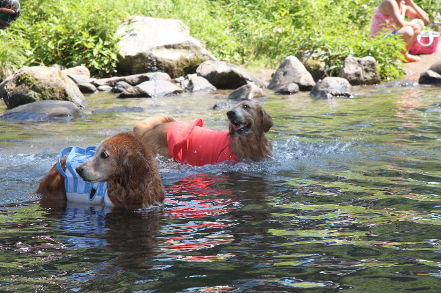 ファイル 3204-5.jpg