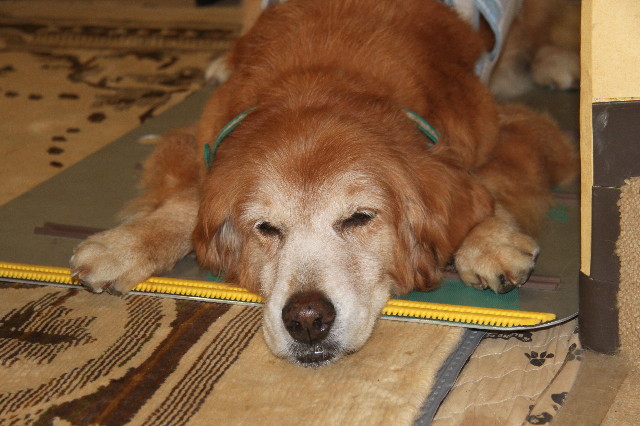 ファイル 3205-2.jpg