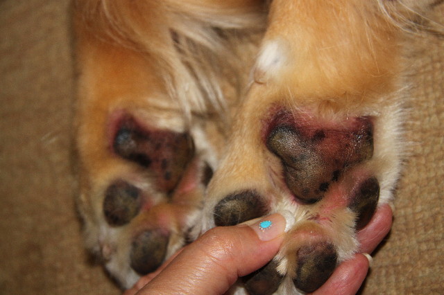 ファイル 3205-3.jpg