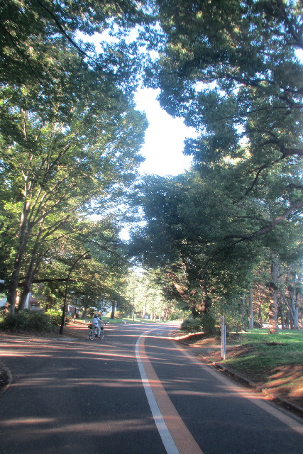 ファイル 3210-1.jpg