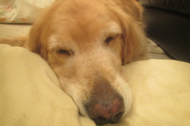 ファイル 3210-4.jpg