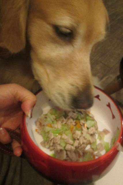 ファイル 3210-5.jpg