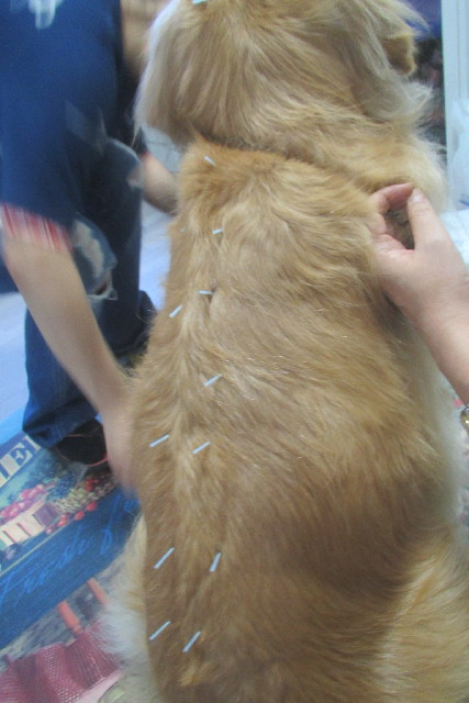 ファイル 3211-2.jpg