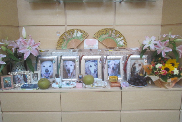 ファイル 3216-4.jpg