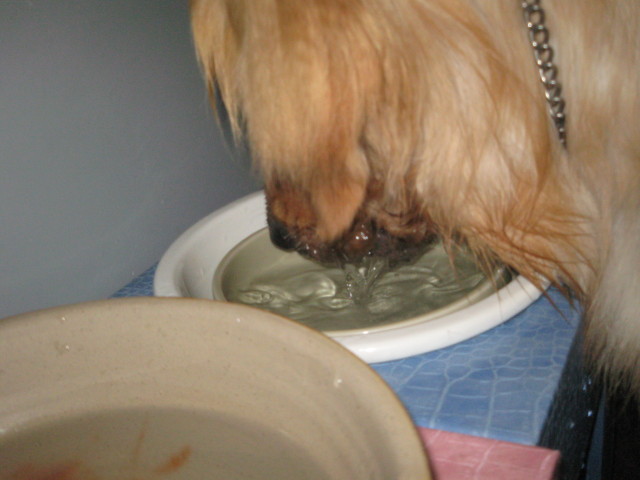 ファイル 322-4.jpg